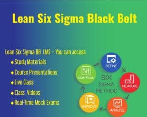 Lean Six Sigma Black Belt