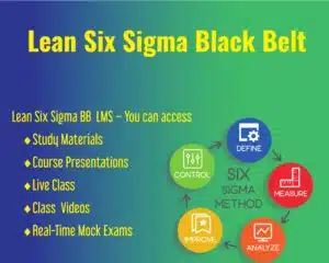 Lean Six Sigma Black Belt